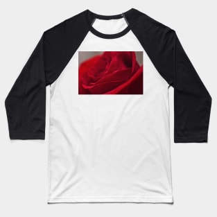 Perfect Red Rose Baseball T-Shirt